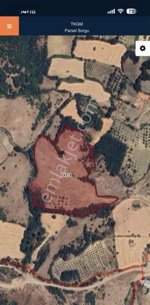 Savaştepe Yeşilhisar 27.229M2 Yüksek Prim Potansiyelli Tarla