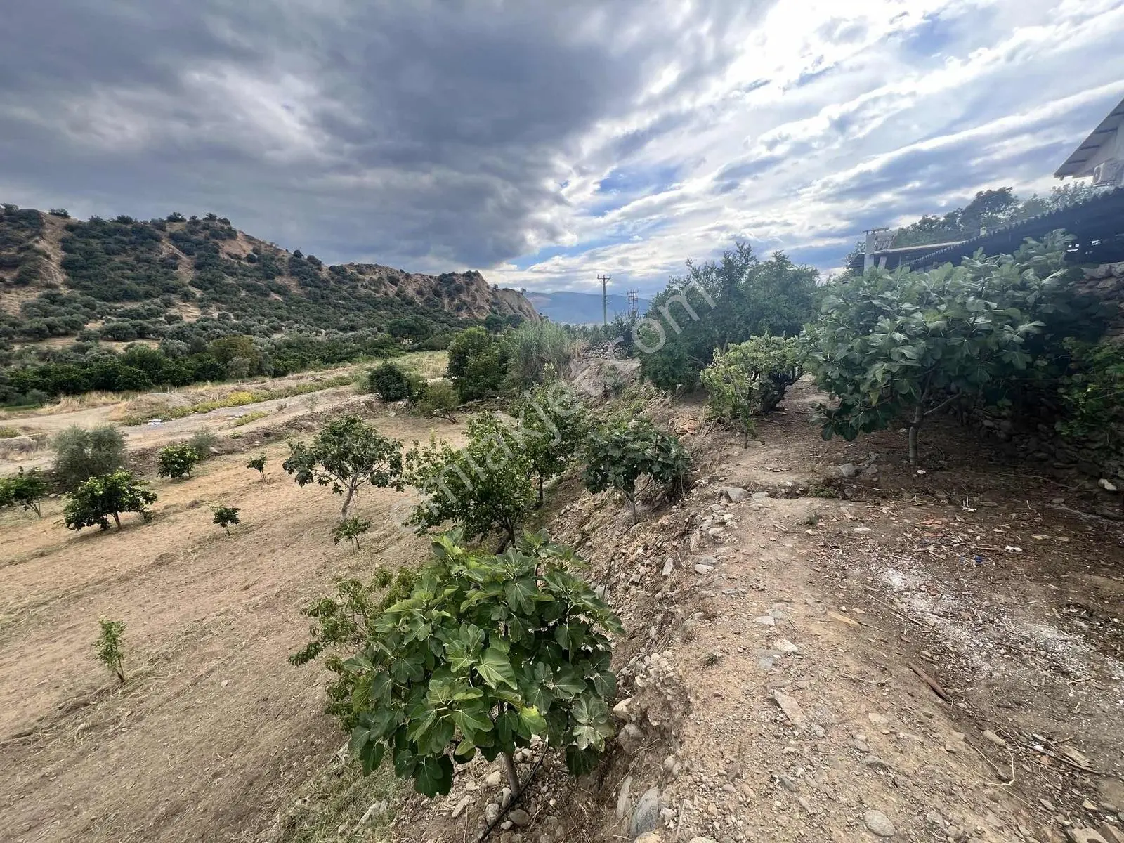 | Şehir'den | Nazilliye 15dk Mesafede Yalınkuyu Köy İçi Arsa — fotoğraf 2