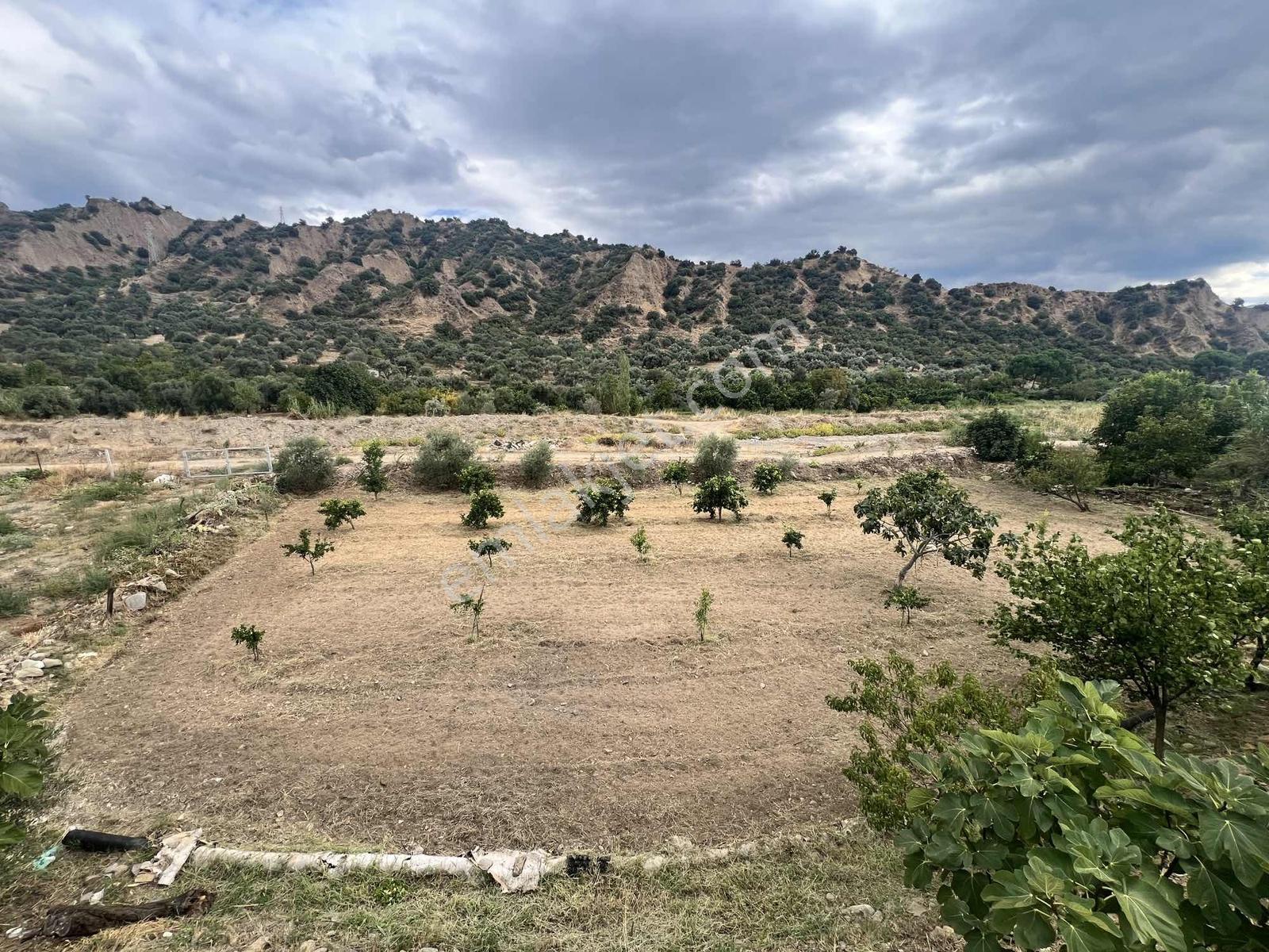 | Şehir'den | Nazilliye 15dk Mesafede Yalınkuyu Köy İçi Arsa — fotoğraf 6