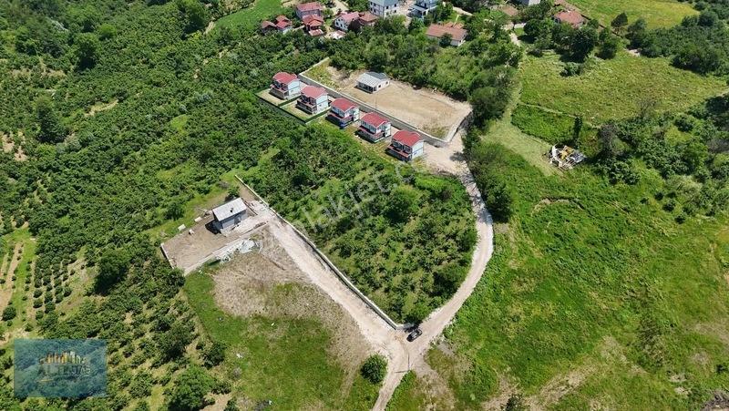 Taşburun Yazlık Bölgesinde 5250 M2 Arsa — fotoğraf 3