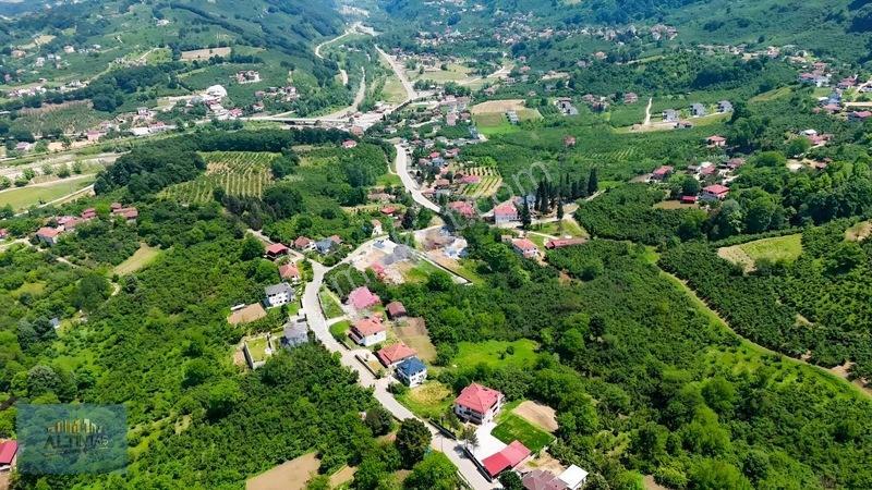 Taşburun Yazlık Bölgesinde 5250 M2 Arsa — fotoğraf 5