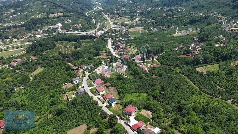 Taşburun Yazlık Bölgesinde 5250 M2 Arsa — fotoğraf 6
