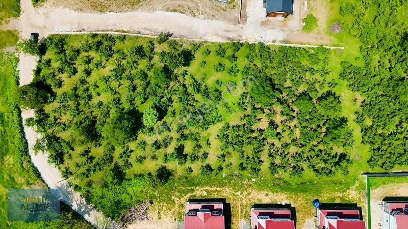 Taşburun Yazlık Bölgesinde 5250 M2 Arsa — fotoğraf 10