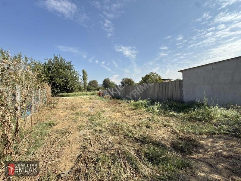 Aydın Efeler Umurlu Da Satılık Arsa — fotoğraf 4