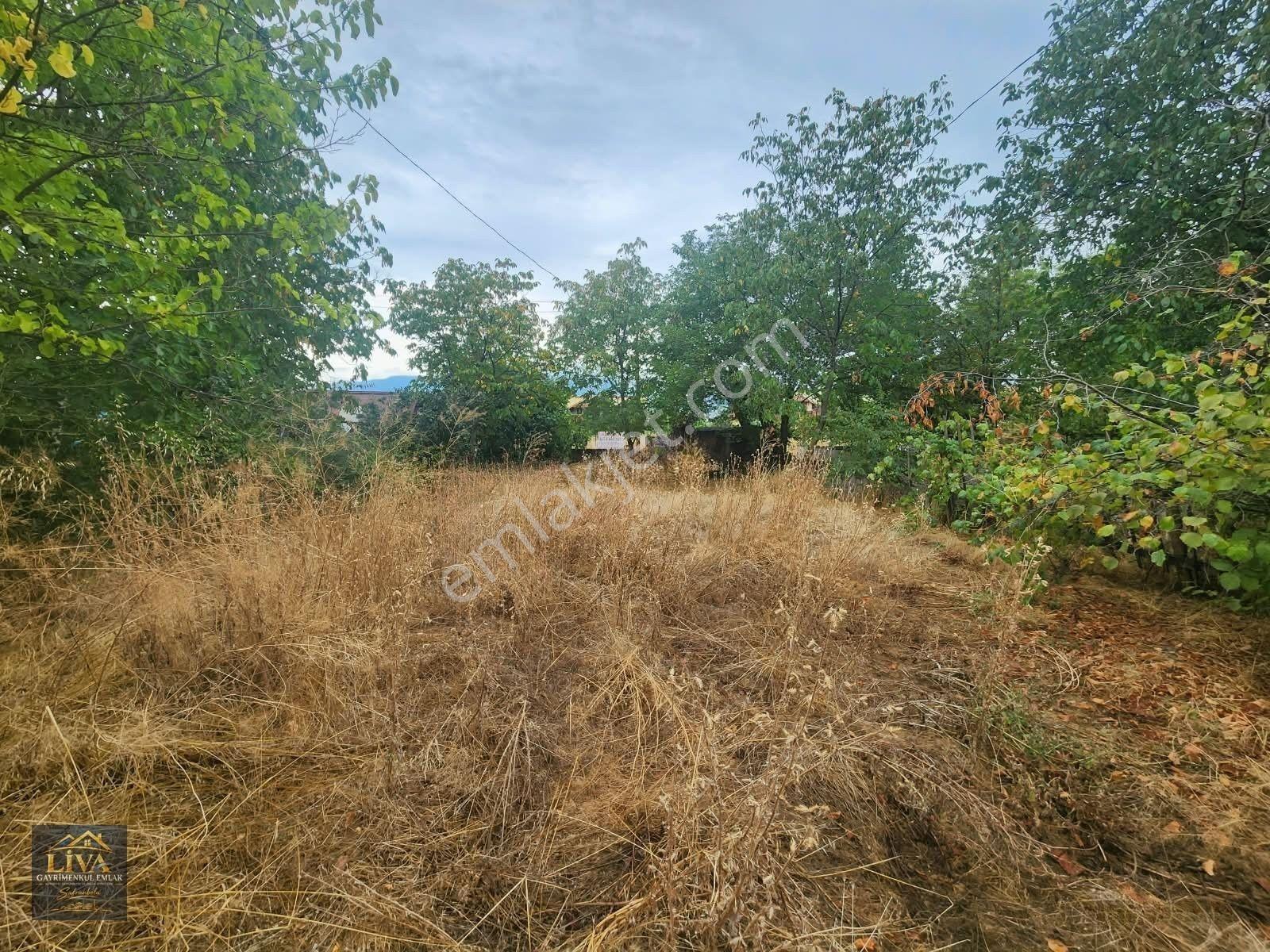Karabük Safranbolu Esentepe Mahallesinde Satılık 2 Katlı Müstakil Ev Ve Arsası — fotoğraf 9