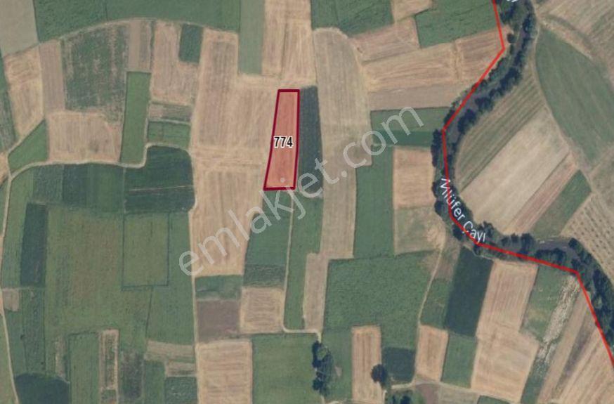 The Poınt'ten Badırga'da 2500 M2 Satılık Tarla — fotoğraf 2