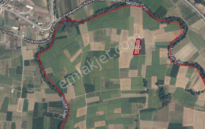 The Poınt'ten Badırga'da 2500 M2 Satılık Tarla — fotoğraf 3