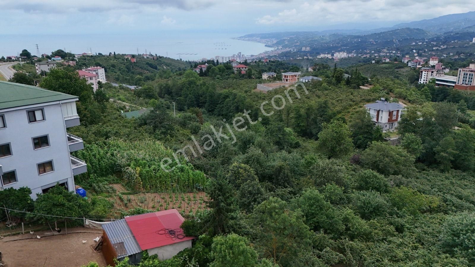 Royal'den Kavala'da Deniz Manzaralı Satılık Arsa — fotoğraf 8