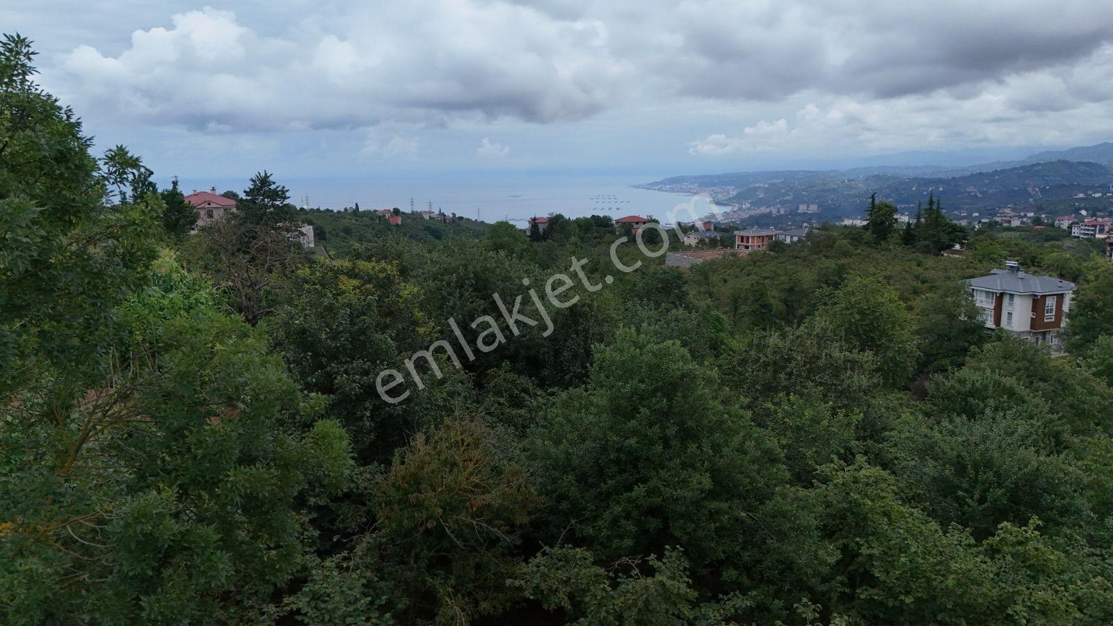 Royal'den Kavala'da Deniz Manzaralı Satılık Arsa — fotoğraf 9