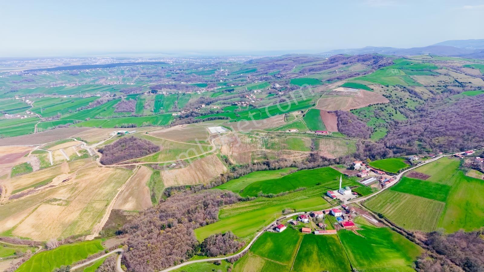 Bafra Köselide 10 Konut Potansiyelli 7.426 M² 4 Müstakil Parsel — fotoğraf 3