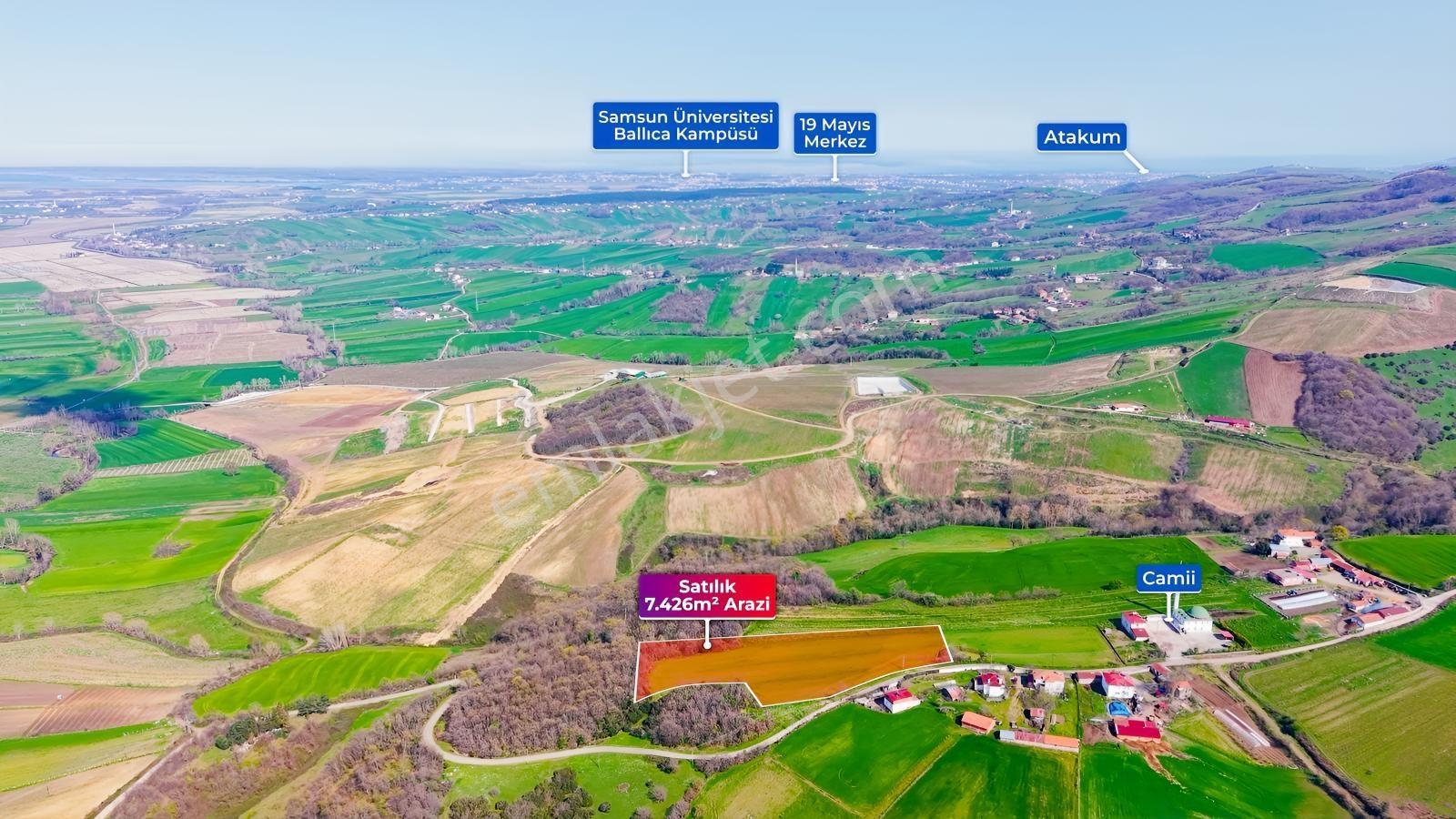 Bafra Köselide 10 Konut Potansiyelli 7.426 M² 4 Müstakil Parsel — fotoğraf 4