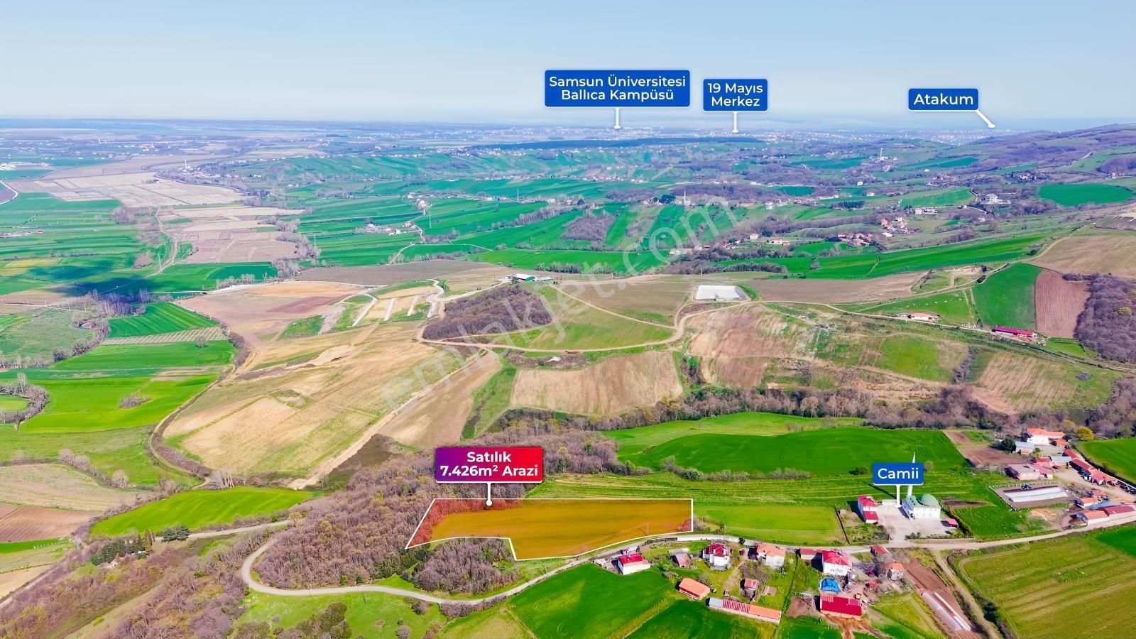 Bafra Köselide 10 Konut Potansiyelli 7.426 M² 4 Müstakil Parsel — fotoğraf 5