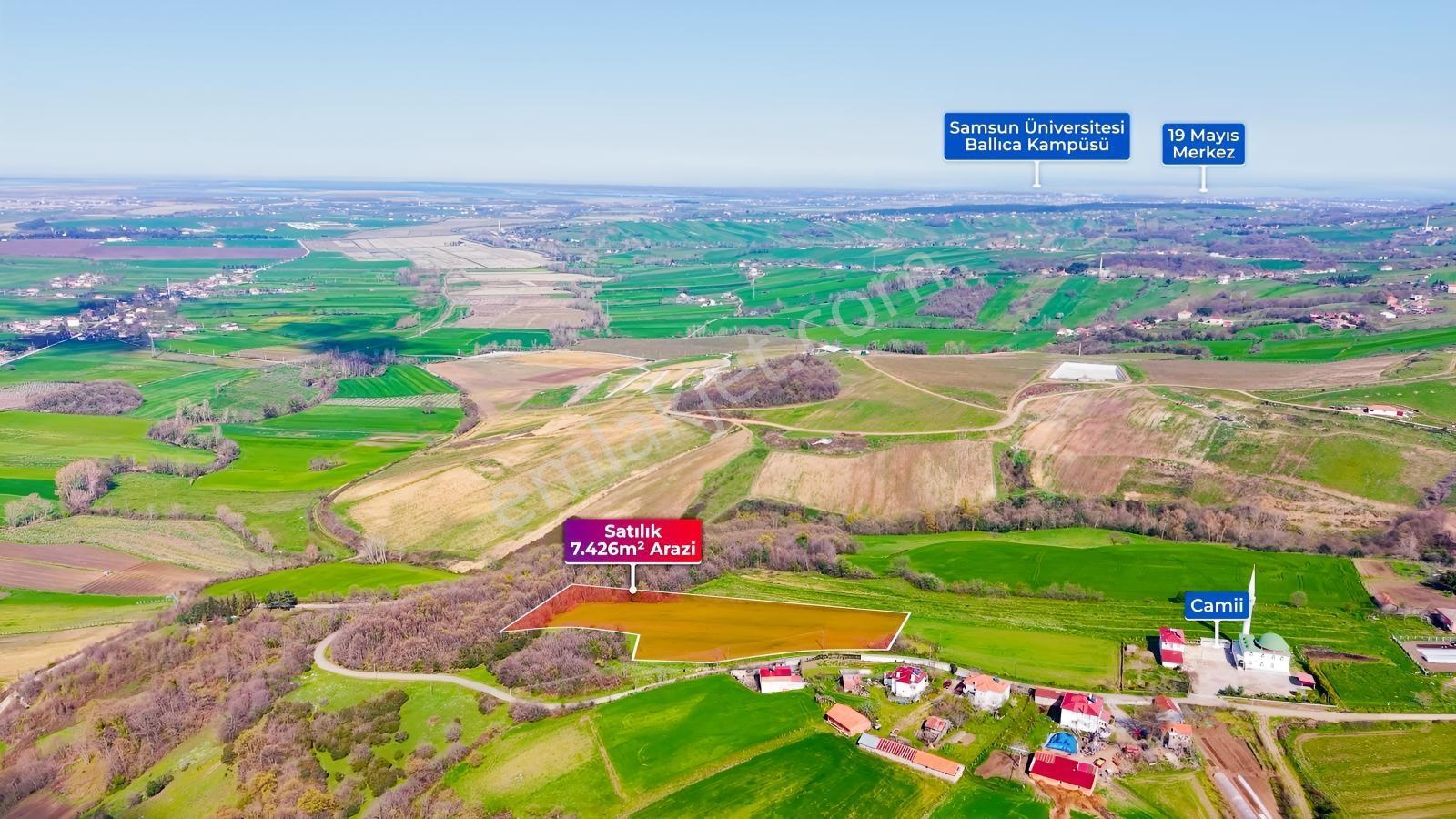 Bafra Köselide 10 Konut Potansiyelli 7.426 M² 4 Müstakil Parsel — fotoğraf 6