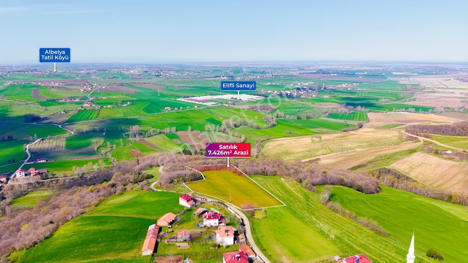 Bafra Köselide 10 Konut Potansiyelli 7.426 M² 4 Müstakil Parsel — fotoğraf 8