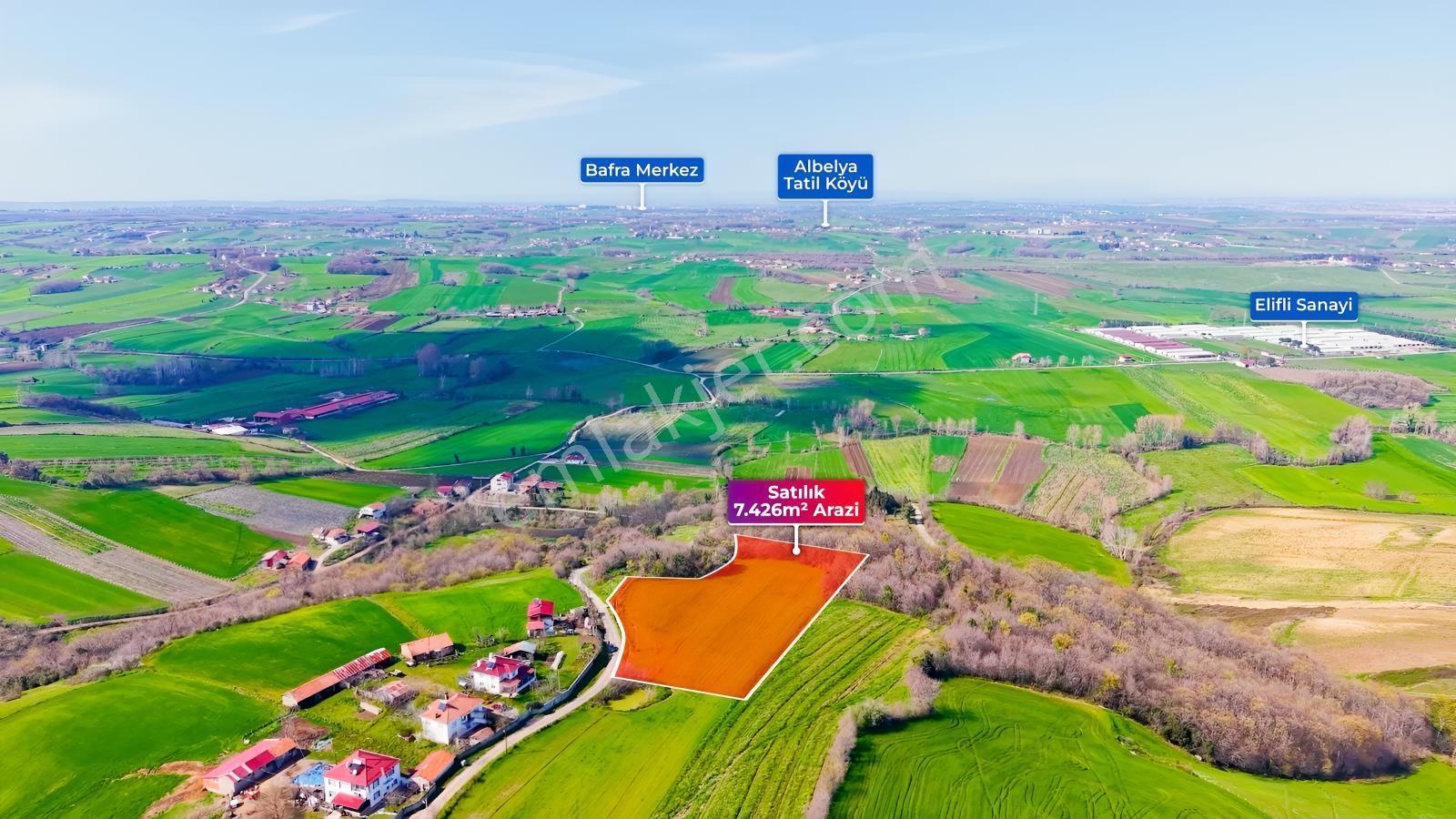 Bafra Köselide 10 Konut Potansiyelli 7.426 M² 4 Müstakil Parsel — fotoğraf 9