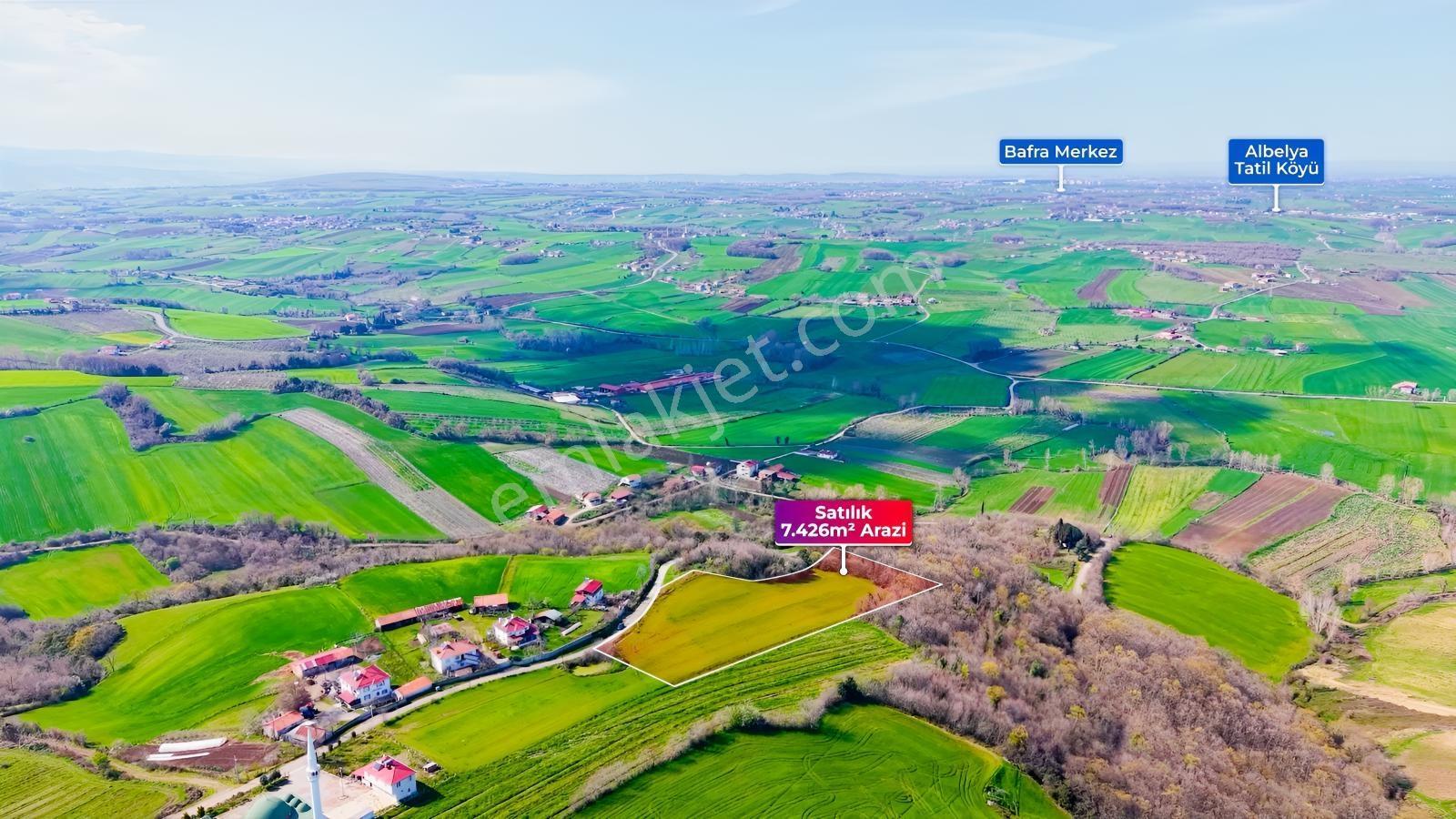 Bafra Köselide 10 Konut Potansiyelli 7.426 M² 4 Müstakil Parsel — fotoğraf 10