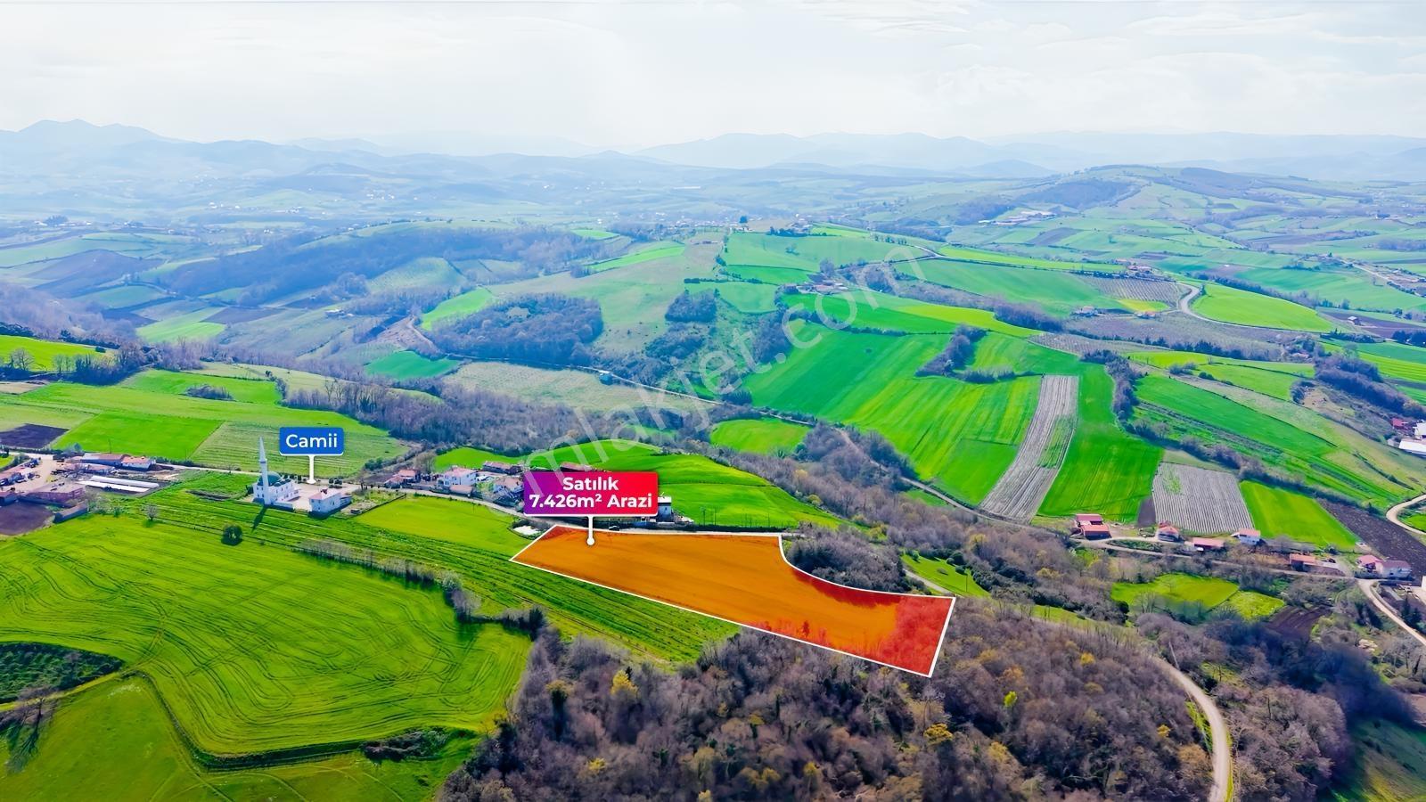 Bafra Köselide 10 Konut Potansiyelli 7.426 M² 4 Müstakil Parsel — fotoğraf 13
