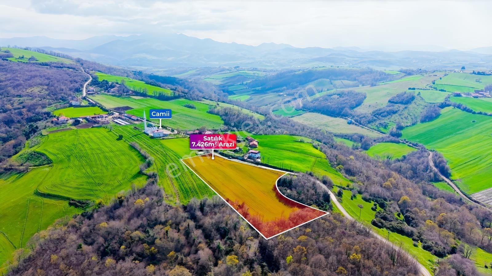 Bafra Köselide 10 Konut Potansiyelli 7.426 M² 4 Müstakil Parsel — fotoğraf 14