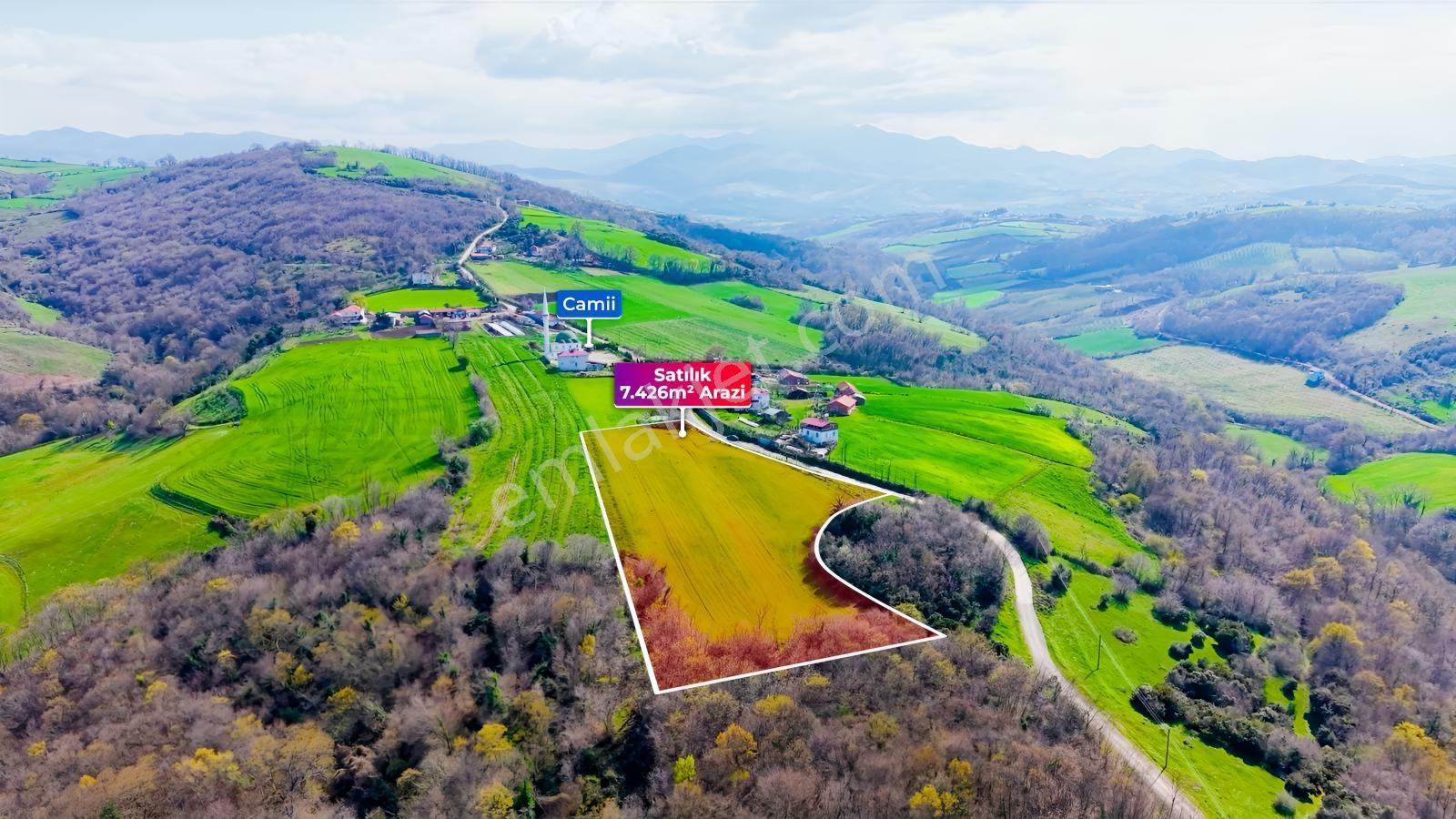Bafra Köselide 10 Konut Potansiyelli 7.426 M² 4 Müstakil Parsel — fotoğraf 15