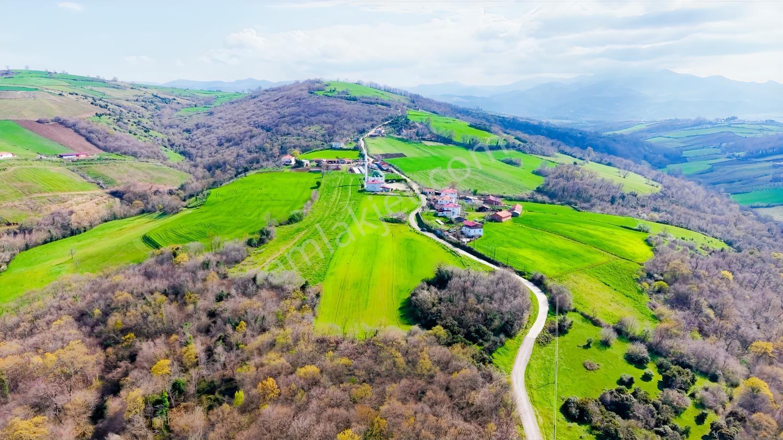 Bafra Köselide 10 Konut Potansiyelli 7.426 M² 4 Müstakil Parsel — fotoğraf 16