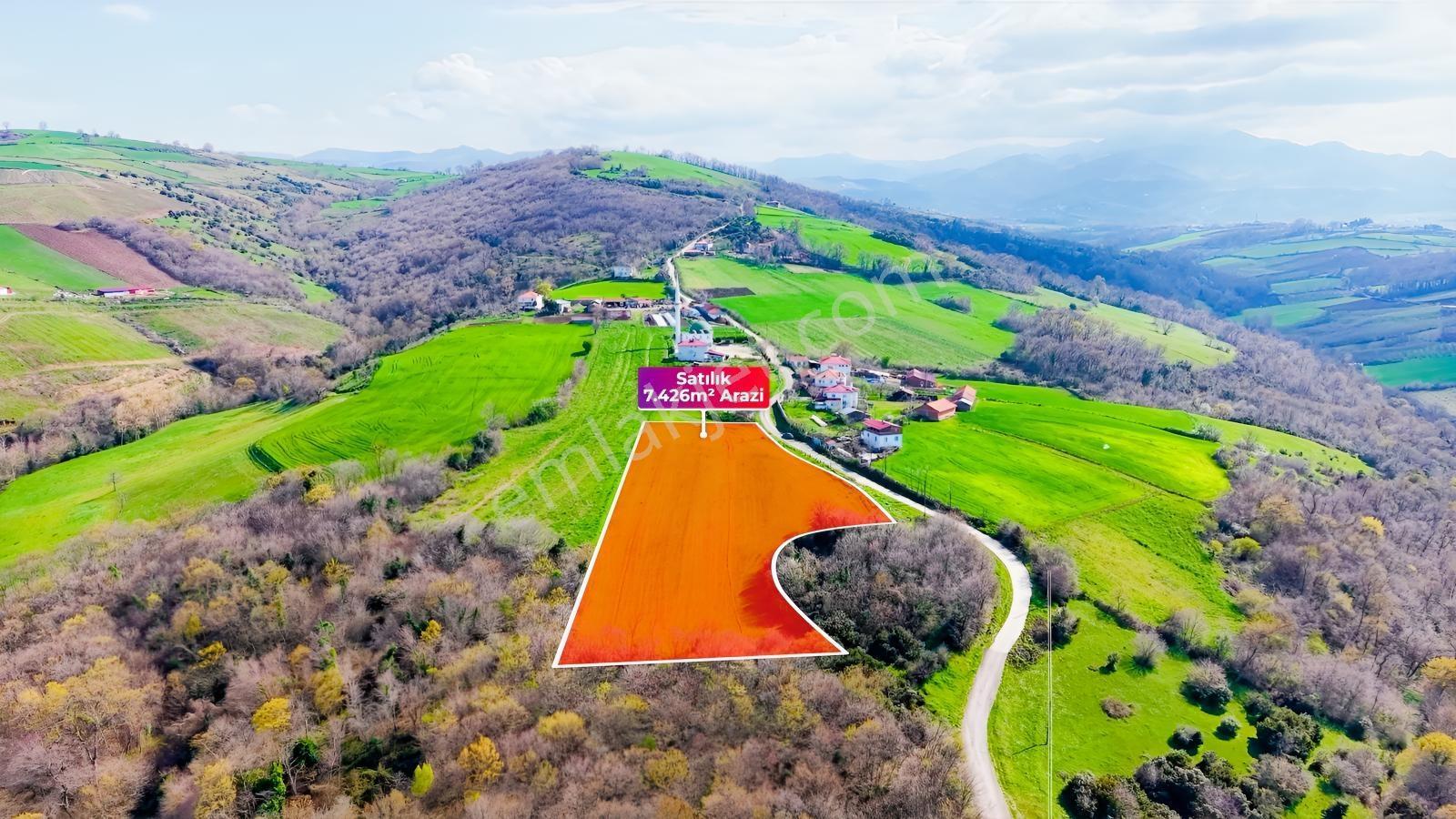 Bafra Köselide 10 Konut Potansiyelli 7.426 M² 4 Müstakil Parsel — fotoğraf 17
