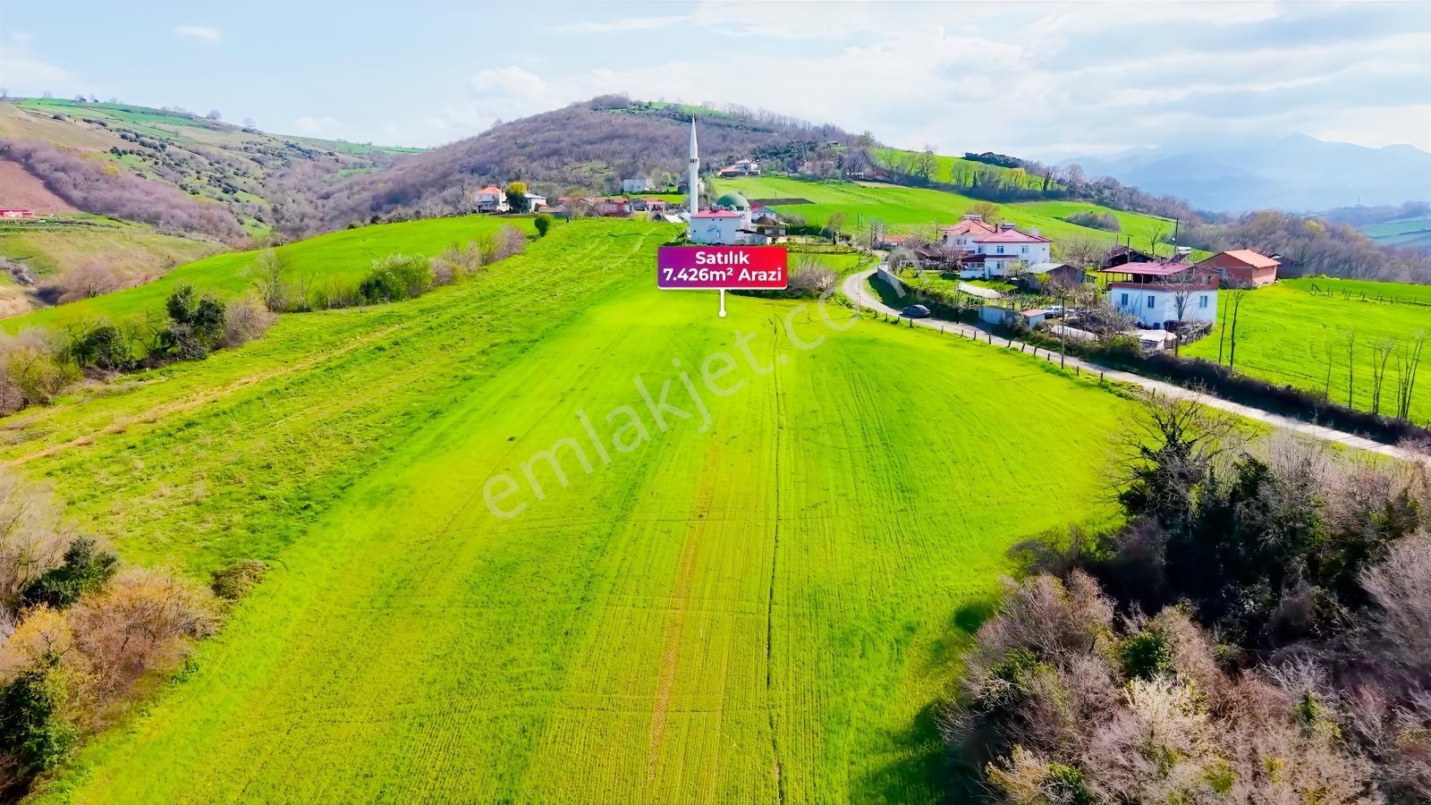Bafra Köselide 10 Konut Potansiyelli 7.426 M² 4 Müstakil Parsel — fotoğraf 19