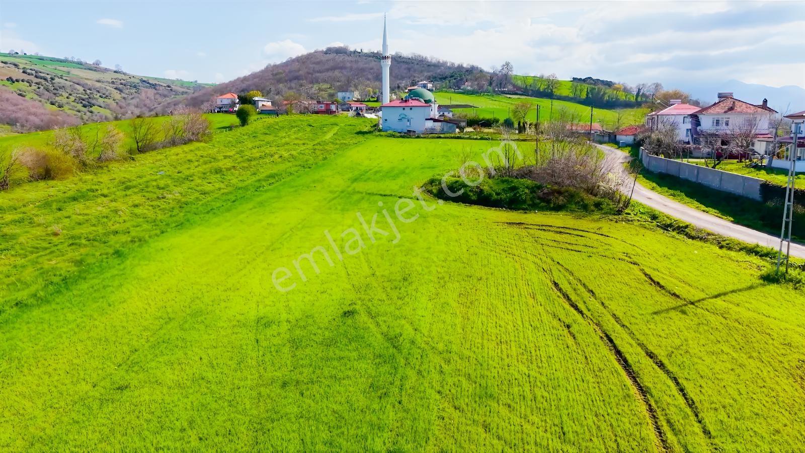 Bafra Köselide 10 Konut Potansiyelli 7.426 M² 4 Müstakil Parsel — fotoğraf 20