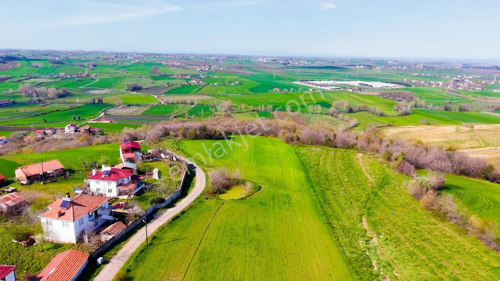 Bafra Köselide 10 Konut Potansiyelli 7.426 M² 4 Müstakil Parsel — fotoğraf 21