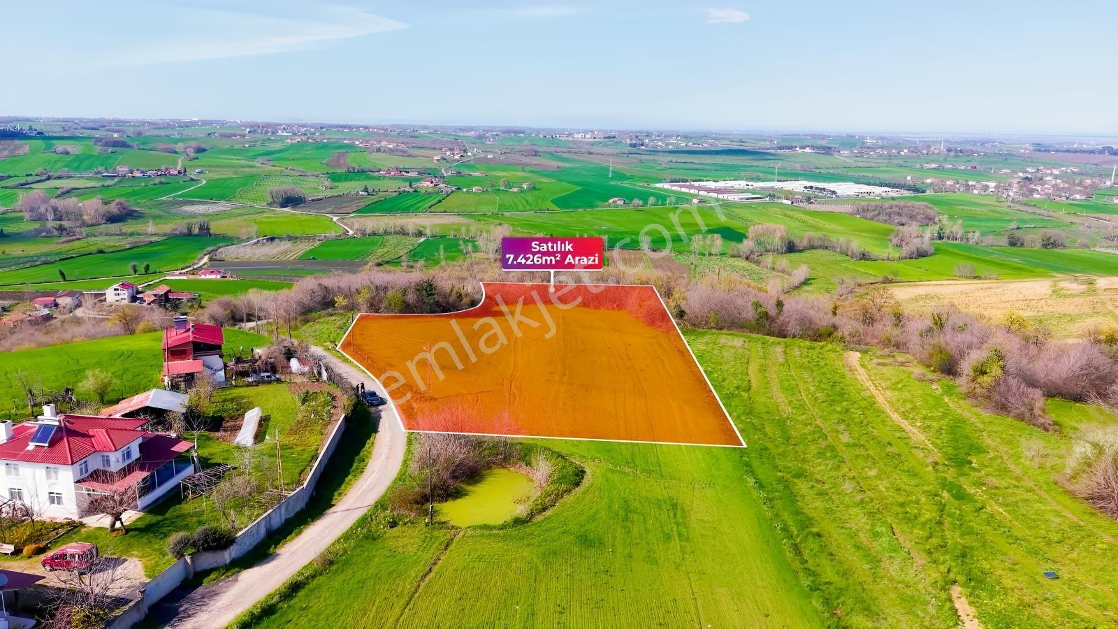 Bafra Köselide 10 Konut Potansiyelli 7.426 M² 4 Müstakil Parsel — fotoğraf 22