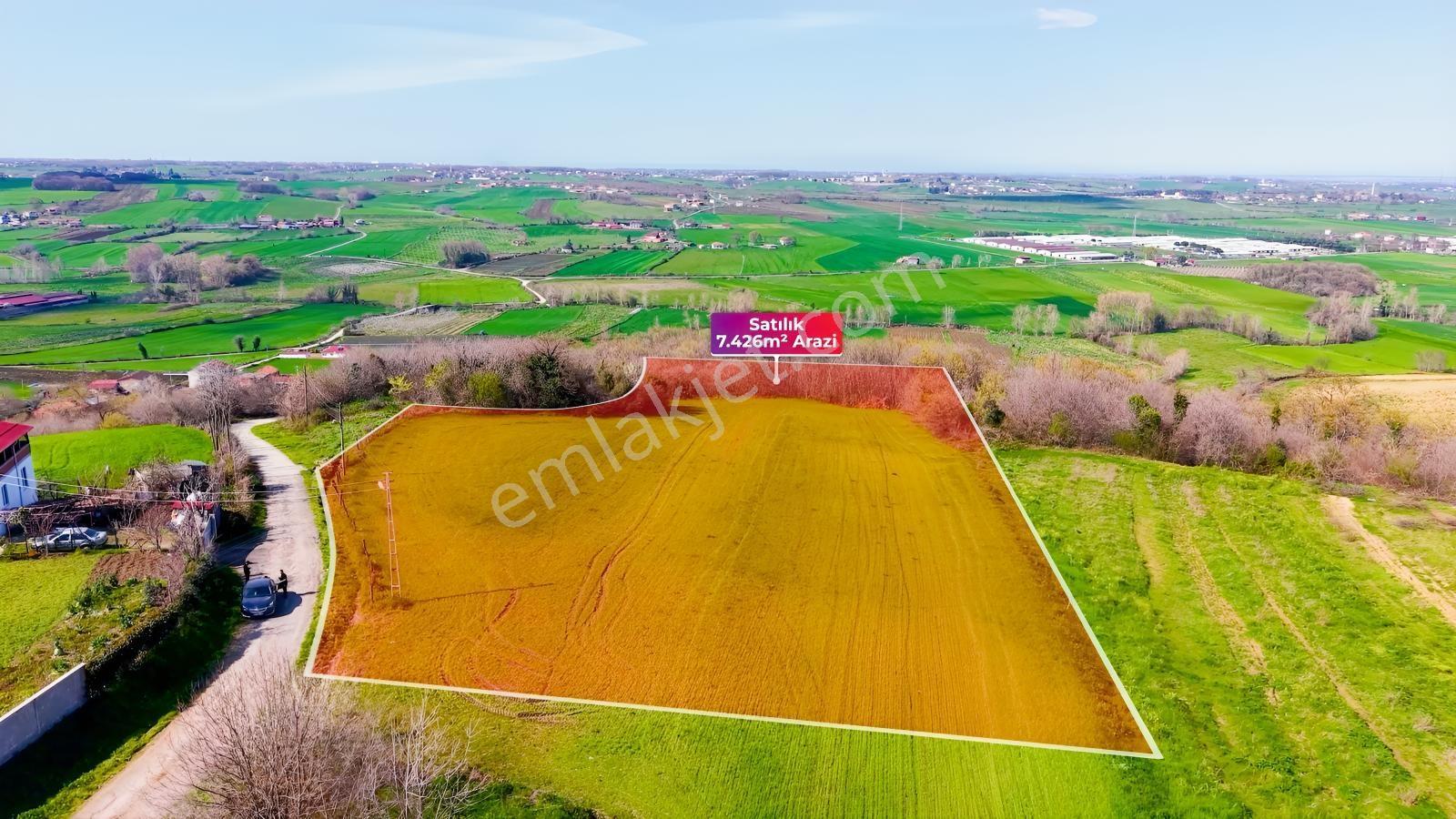 Bafra Köselide 10 Konut Potansiyelli 7.426 M² 4 Müstakil Parsel — fotoğraf 23