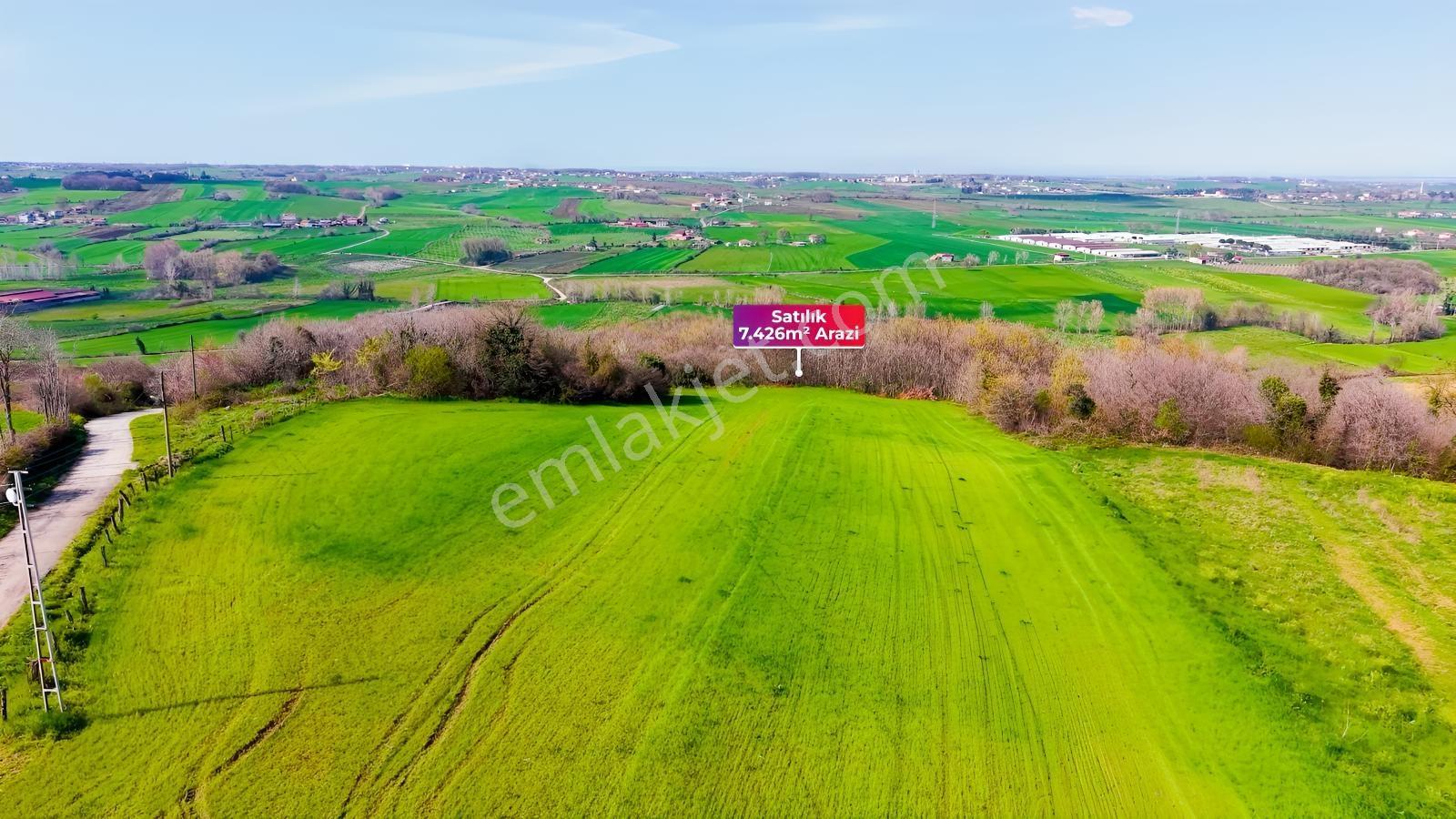 Bafra Köselide 10 Konut Potansiyelli 7.426 M² 4 Müstakil Parsel — fotoğraf 24