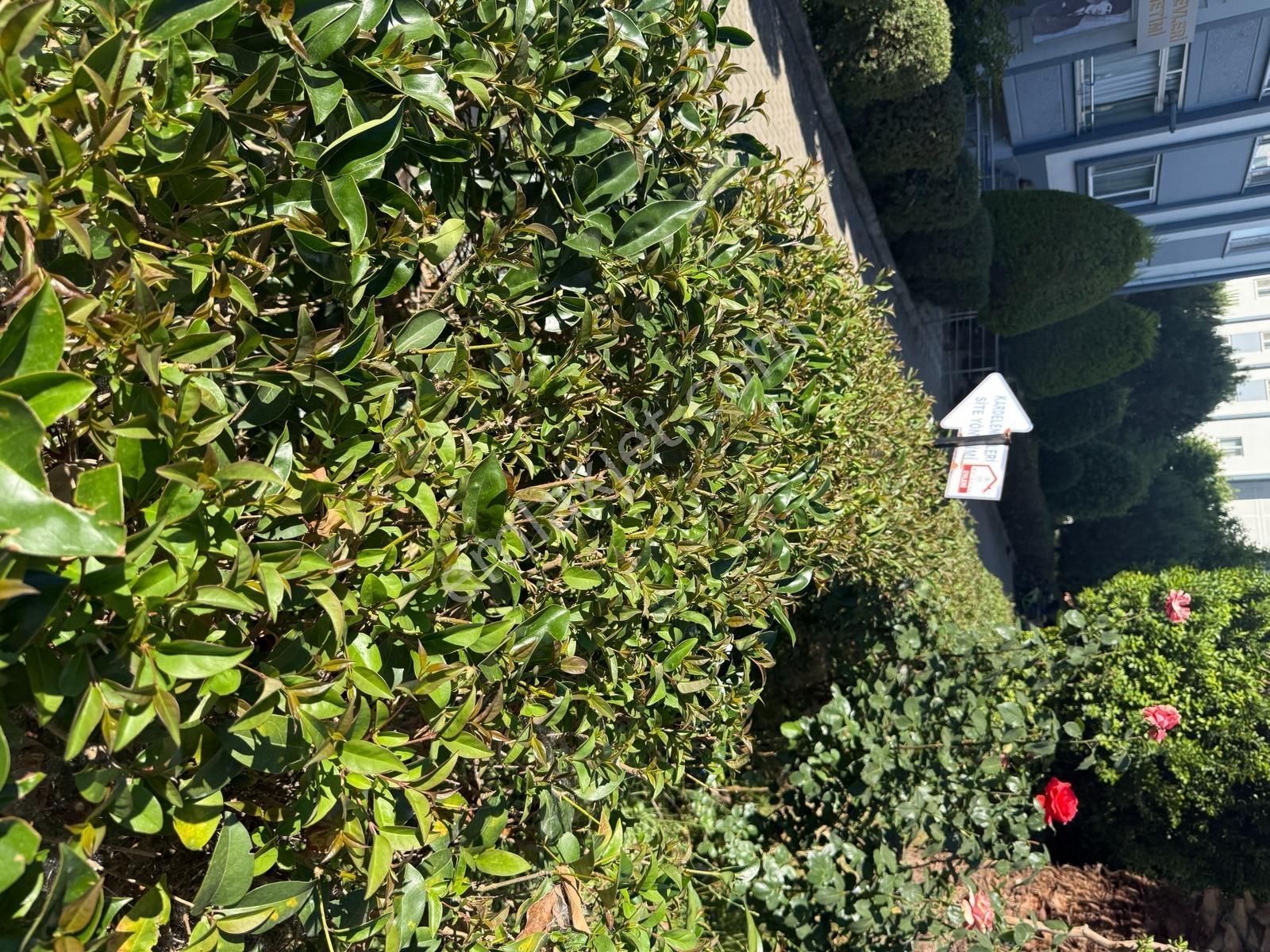 Atakent Toki Kardelen Evleri 3+1 132 M2 Satılık Boş Daire — fotoğraf 31