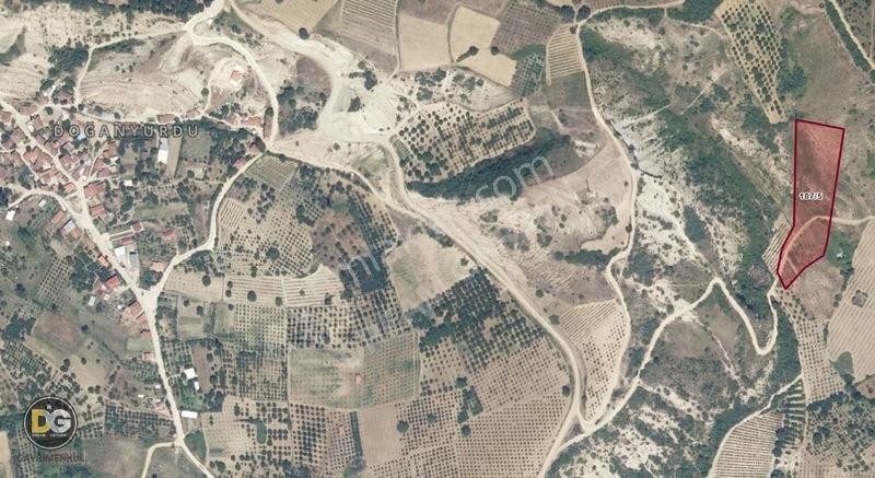 Bursa İnegöl Doğanyurdu 10 Dönüm Tek Tapu Bulunmaz Fiyat — fotoğraf 2