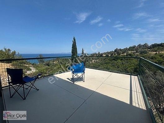 Morçiçek'ten Sasko'da Denize 180metre Mesafede Tarla&tiny House — fotoğraf 2