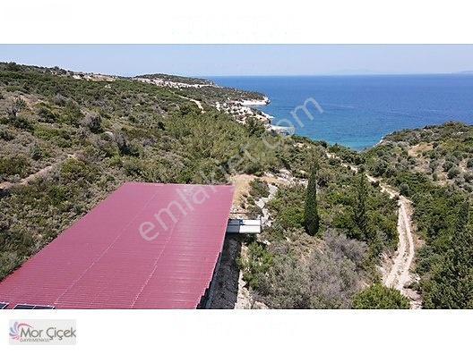 Morçiçek'ten Sasko'da Denize 180metre Mesafede Tarla&tiny House — fotoğraf 4