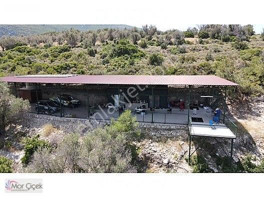 Morçiçek'ten Sasko'da Denize 180metre Mesafede Tarla&tiny House — fotoğraf 5