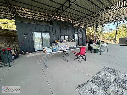 Morçiçek'ten Sasko'da Denize 180metre Mesafede Tarla&tiny House — fotoğraf 6