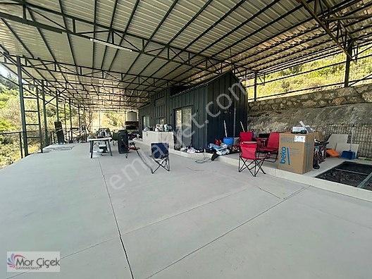 Morçiçek'ten Sasko'da Denize 180metre Mesafede Tarla&tiny House — fotoğraf 7