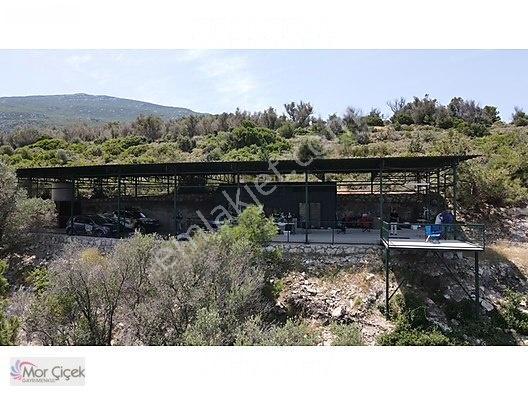 Morçiçek'ten Sasko'da Denize 180metre Mesafede Tarla&tiny House — fotoğraf 9