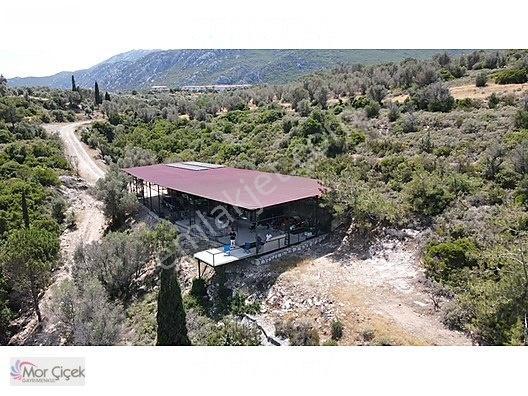 Morçiçek'ten Sasko'da Denize 180metre Mesafede Tarla&tiny House — fotoğraf 11