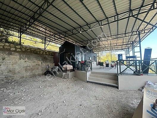Morçiçek'ten Sasko'da Denize 180metre Mesafede Tarla&tiny House — fotoğraf 13
