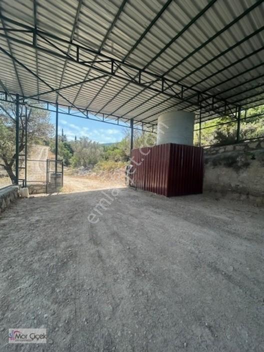 Morçiçek'ten Sasko'da Denize 180metre Mesafede Tarla&tiny House — fotoğraf 14
