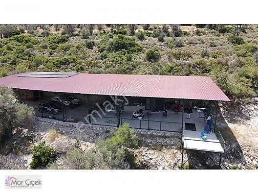 Morçiçek'ten Sasko'da Denize 180metre Mesafede Tarla&tiny House — fotoğraf 16