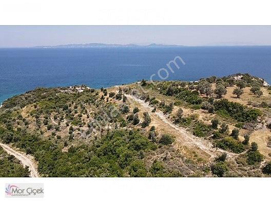 Morçiçek'ten Sasko'da Denize 180metre Mesafede Tarla&tiny House — fotoğraf 17