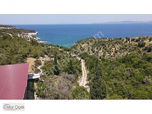Morçiçek'ten Sasko'da Denize 180metre Mesafede Tarla&tiny House — fotoğraf 19