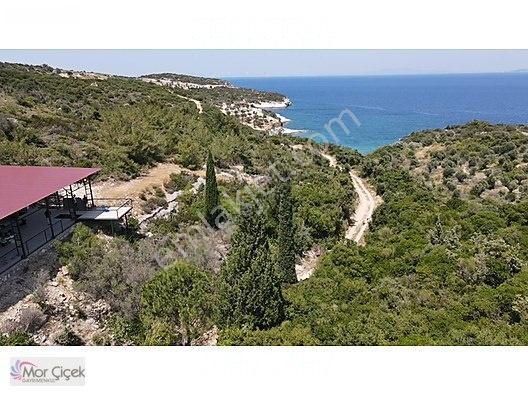 Morçiçek'ten Sasko'da Denize 180metre Mesafede Tarla&tiny House — fotoğraf 23