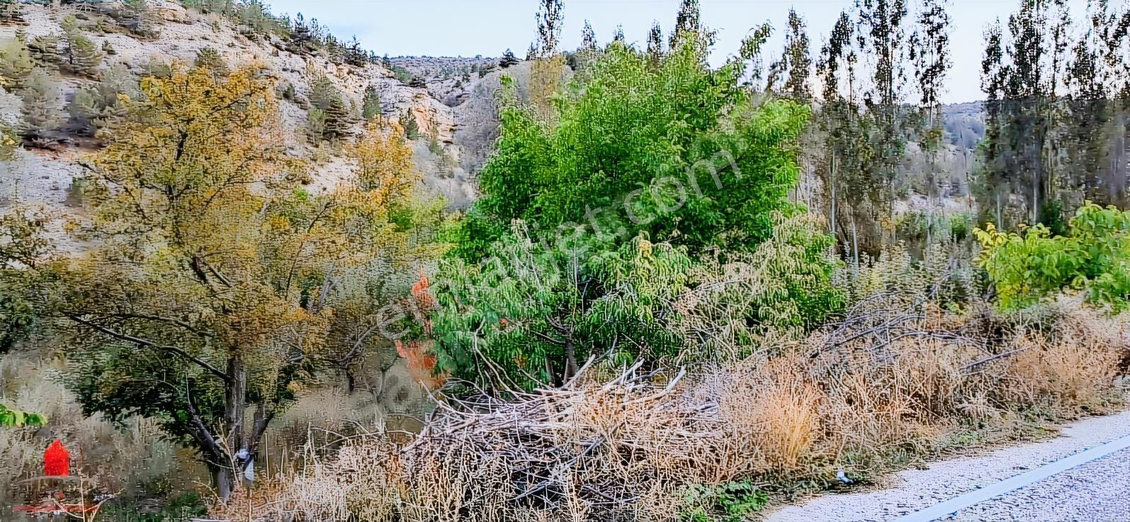 Başarakavak'ta Dere Kenarı 1120m2 Satılık Meyve Bahçesi — fotoğraf 3