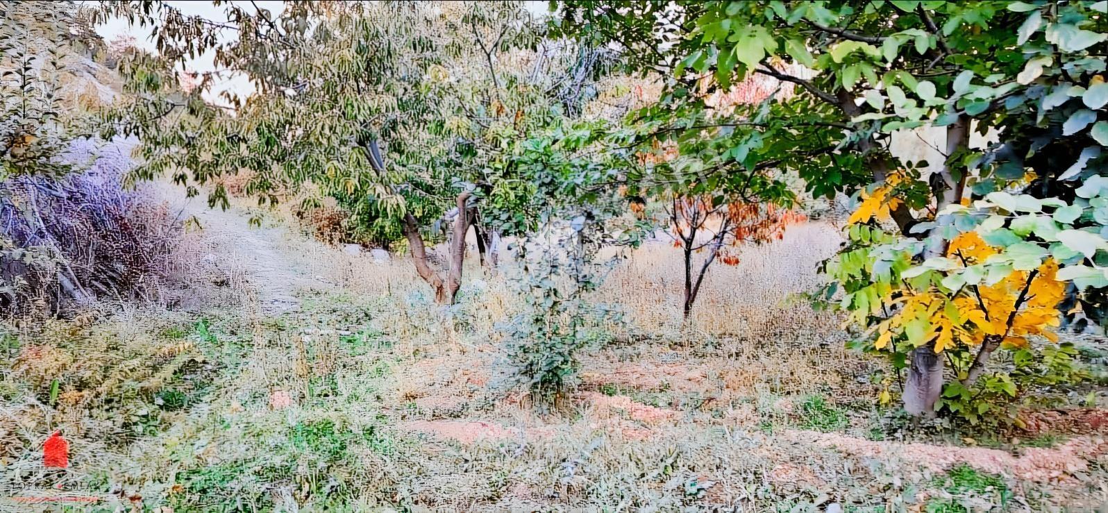 Başarakavak'ta Dere Kenarı 1120m2 Satılık Meyve Bahçesi — fotoğraf 7