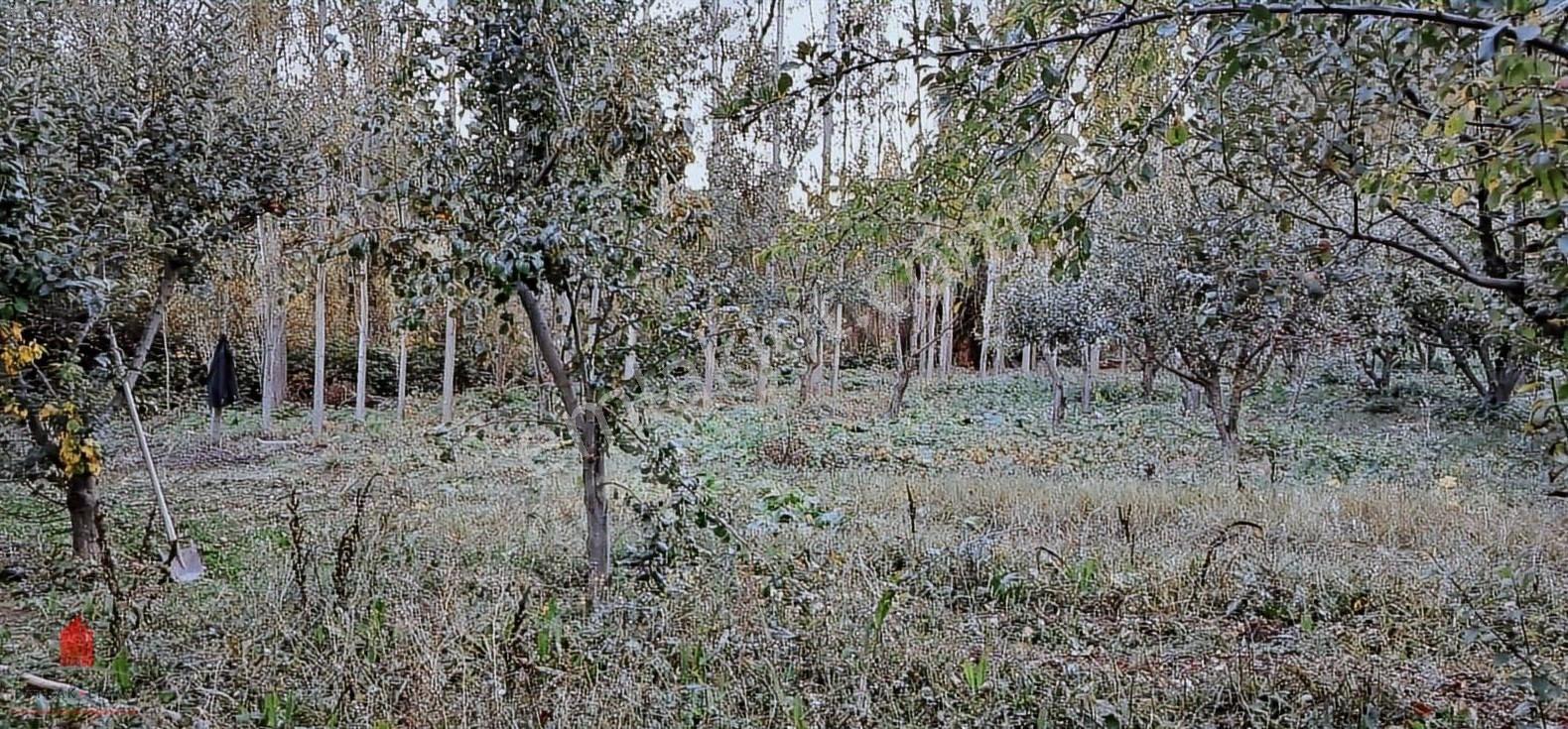 Başarakavak'ta Dere Kenarı 1120m2 Satılık Meyve Bahçesi — fotoğraf 9