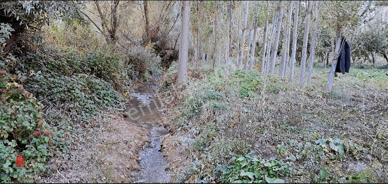 Başarakavak'ta Dere Kenarı 1120m2 Satılık Meyve Bahçesi — fotoğraf 10